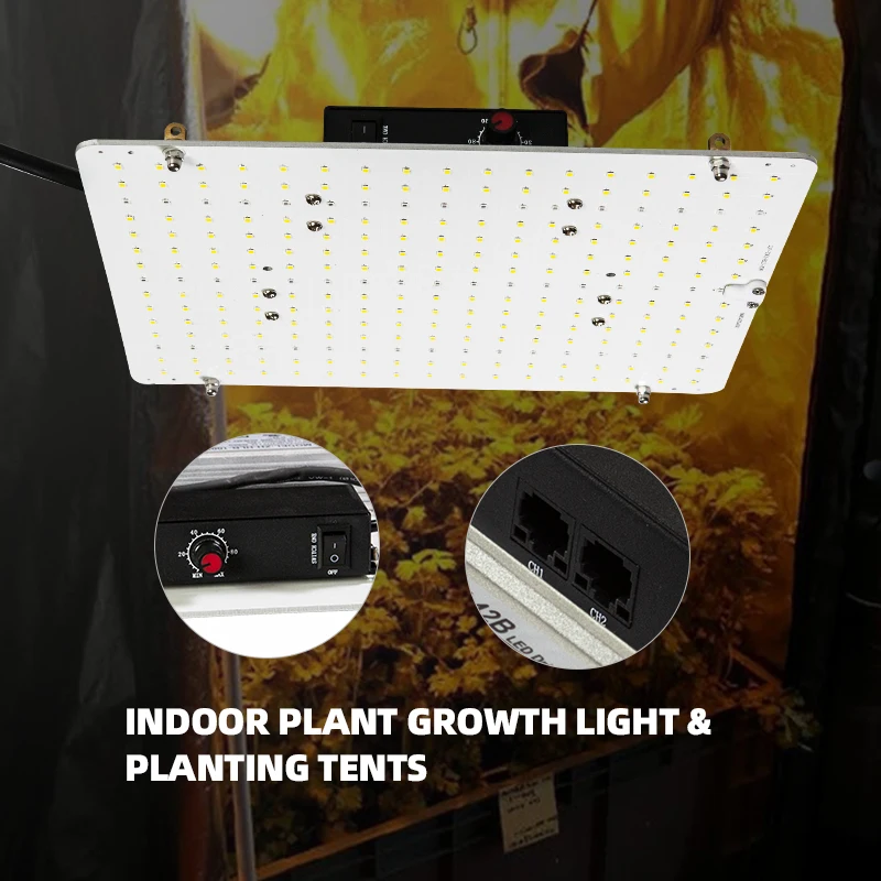 High-power Waterproof Full-spectrum Led Light Plant Production Light Growlight Quantum Board Planting Light Lm301b Plant Light
High-power Waterproof Full-spectrum Led Light Plant Production Light Growlight Quantum Board Planting Light Lm301b Plant Light