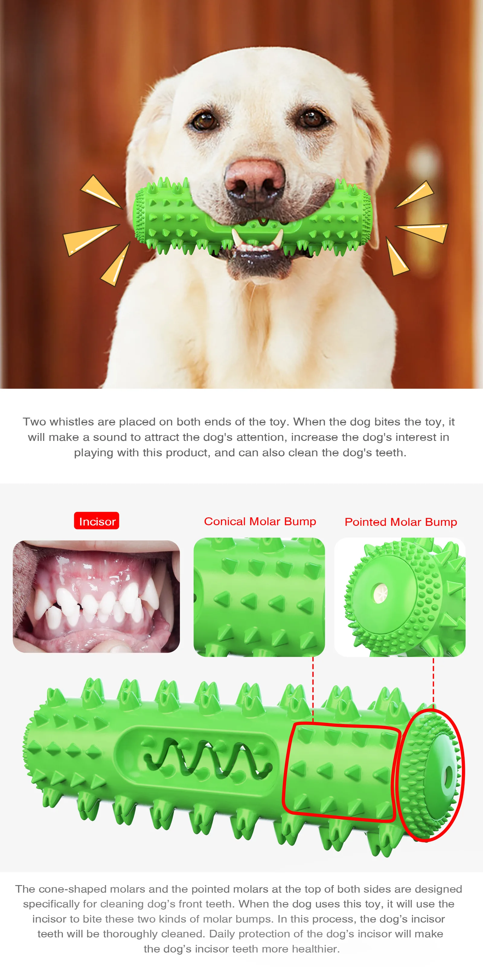 2021Popular Sounding Dog Toy Molar Rod Teeth Cleaning Serrated Dog Toothbrush Food Leakage Pet Supplies
2021Popular Sounding Dog Toy Molar Rod Teeth Cleaning Serrated Dog Toothbrush Food Leakage Pet Supplies