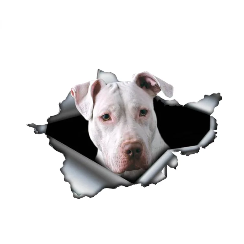 13 см x 8,7 см белая наклейка pitbull 3D Pet графическая виниловая наклейка на окно автомобиля Наклейка s
13 см x 8,7 см белая наклейка pitbull 3D Pet графическая виниловая наклейка на окно автомобиля Наклейка s
