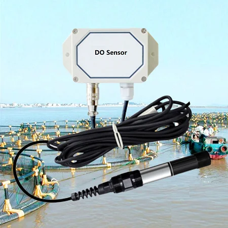 Polarography online monitoring digital lora lorawan RS485 Modbus aquaculture water dissolved oxygen sensor
Polarography online monitoring digital lora lorawan RS485 Modbus aquaculture water dissolved oxygen sensor