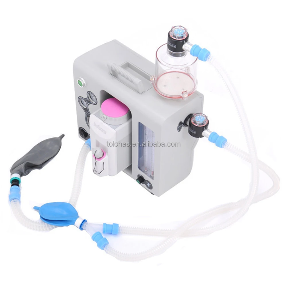 LHW600V Lowest Price Veterinary Anestesia Machine Anestesia Machine for Animal Portable Anestesia Machine
LHW600V Lowest Price Veterinary Anestesia Machine Anestesia Machine for Animal Portable Anestesia Machine