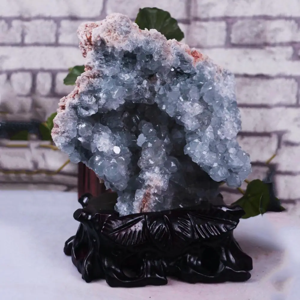 Kyanite Natural Rough Stone Celestite Kyanite Crushed Crystal Decoration Cave Cornucopia Stone Teaching Mineral Specimen Bl C1g9
Kyanite Natural Rough Stone Celestite Kyanite Crushed Crystal Decoration Cave Cornucopia Stone Teaching Mineral Specimen Bl C1g9