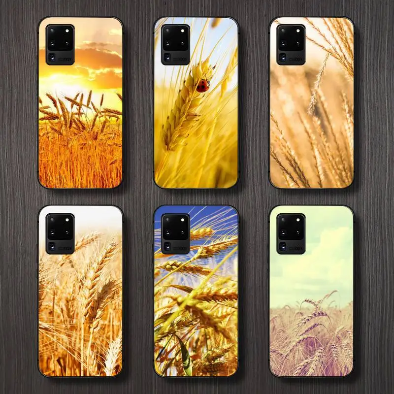 Raw material for bread wheat Phone Case For Samsung galaxy A S note 10 7 8 9 20 30 31 40 50 51 70 71 21 s ultra plus
Raw material for bread wheat Phone Case For Samsung galaxy A S note 10 7 8 9 20 30 31 40 50 51 70 71 21 s ultra plus