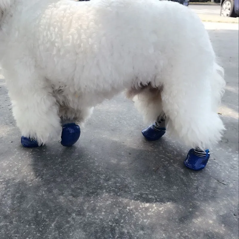 4 Pieces/Set Pet Boots Socks S/M/L Size Dog Waterproof Rain Shoes Non-slip Rubber Puppy Shoes
4 Pieces/Set Pet Boots Socks S/M/L Size Dog Waterproof Rain Shoes Non-slip Rubber Puppy Shoes