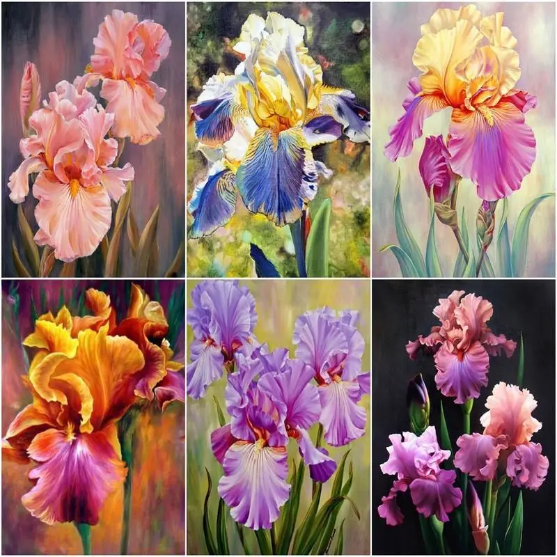 CHENISTORY Oil Painting By Numbers Flower On Canvas With Frame Handmade Drawing Paints For Kids Picture Coloring By Number Deco
CHENISTORY Oil Painting By Numbers Flower On Canvas With Frame Handmade Drawing Paints For Kids Picture Coloring By Number Deco