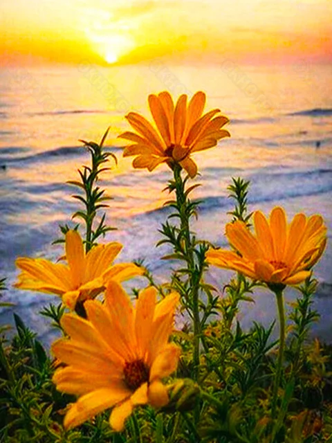 Diy Diamond Painting Full Square Round Sunset Lake Scenery Diamond Embroidery Mosaic Flower Crafts Home Decoration
Diy Diamond Painting Full Square Round Sunset Lake Scenery Diamond Embroidery Mosaic Flower Crafts Home Decoration