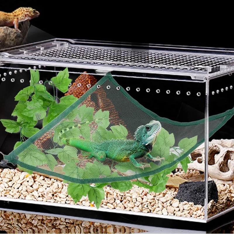 3Pcs Reptile Hammock with Climber Leaves- Breathable Mesh Bearded Dragon Hammock Lizard Hanging Lounger Ladder
3Pcs Reptile Hammock with Climber Leaves- Breathable Mesh Bearded Dragon Hammock Lizard Hanging Lounger Ladder