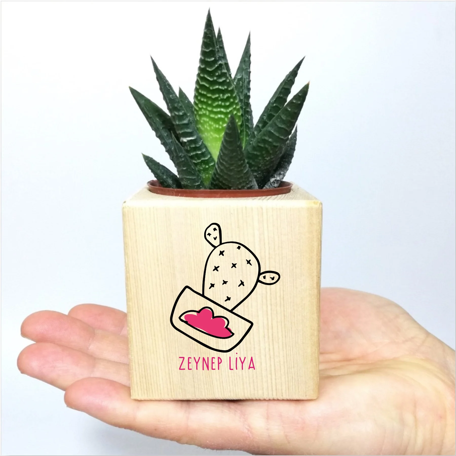 Персонализированный кактус на тему Live In Pots Sukulent
Персонализированный кактус на тему Live In Pots Sukulent