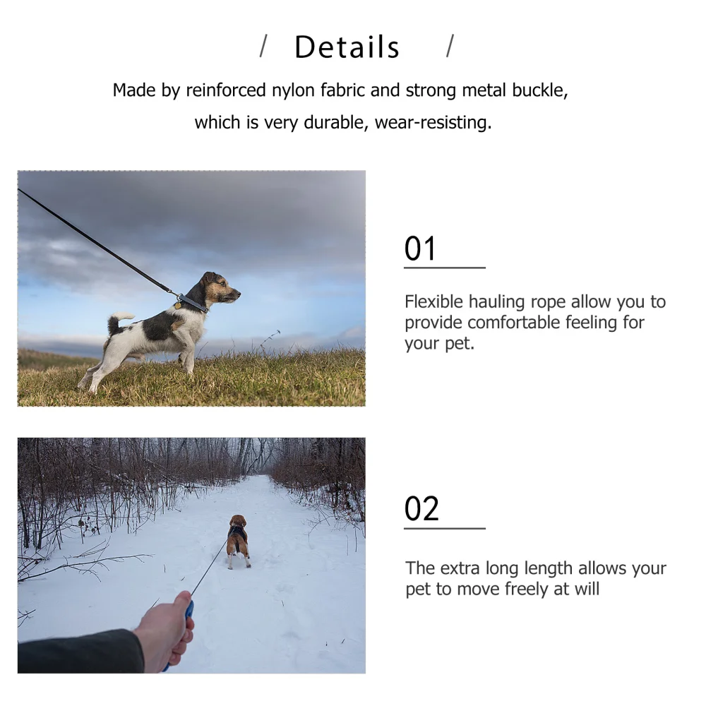 2Pcs Pet Dog Collar and Leash Set Dog Neckwear Lead Leash with Pearls Pet Supply
2Pcs Pet Dog Collar and Leash Set Dog Neckwear Lead Leash with Pearls Pet Supply