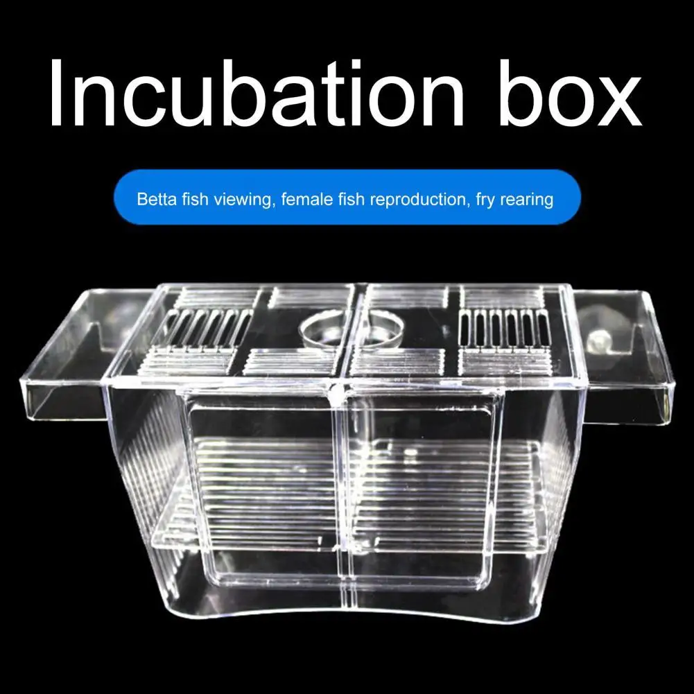 Fish Breeding Box Wear Resistant Stackable Self-floating Fish Isolation Box Baby Fishes Shrimp Clownfish Breeding Box for Home
Fish Breeding Box Wear Resistant Stackable Self-floating Fish Isolation Box Baby Fishes Shrimp Clownfish Breeding Box for Home