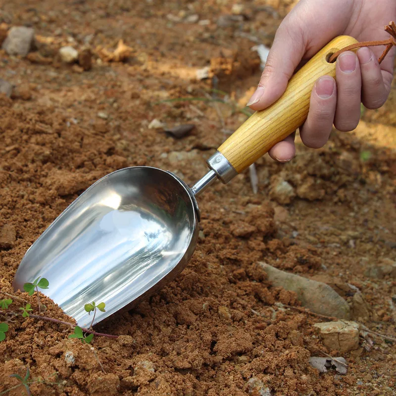 Stainless Steel Garden Soil Tool Wooden Handle Potting Scoop With Strap Anti Rust Digging Transplanting Compost Weatherproof
Stainless Steel Garden Soil Tool Wooden Handle Potting Scoop With Strap Anti Rust Digging Transplanting Compost Weatherproof