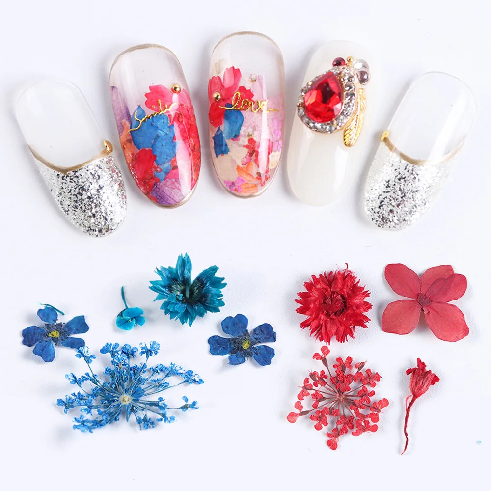 12Gird/Set Dried Flowers Nail Art Summer Florals Leaf 3D Decorations Flake Stickers On Nails DIY Charms Manicure Accessory 
12Gird/Set Dried Flowers Nail Art Summer Florals Leaf 3D Decorations Flake Stickers On Nails DIY Charms Manicure Accessory