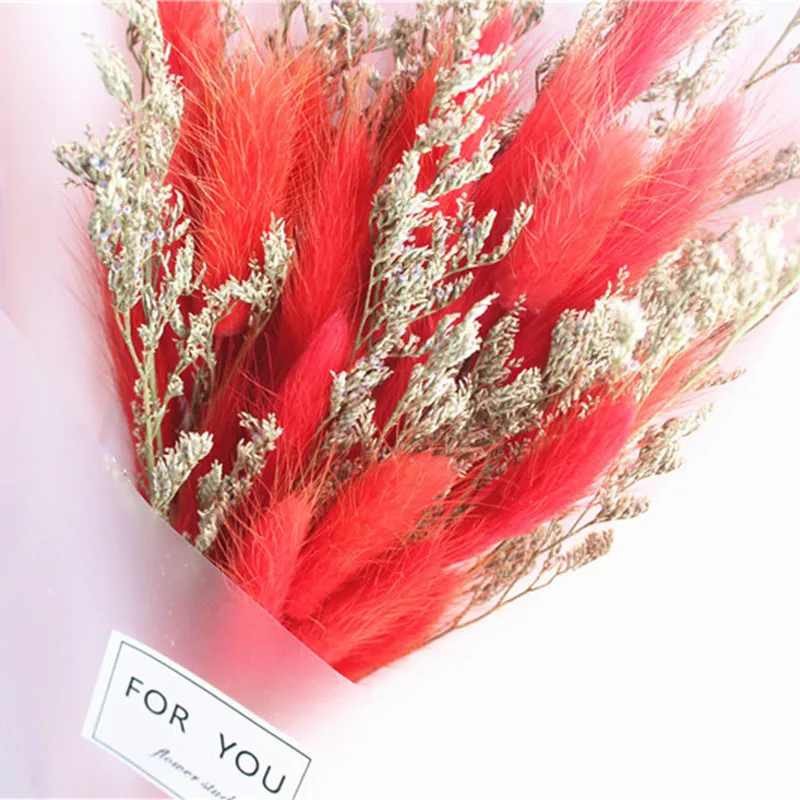 Pink Wrapping Paper Dried Flower Rabbit Tail Grass Mixed Graduation Bouquet Small Fresh Bouquet Creative Photo Props Valentine's
Pink Wrapping Paper Dried Flower Rabbit Tail Grass Mixed Graduation Bouquet Small Fresh Bouquet Creative Photo Props Valentine's