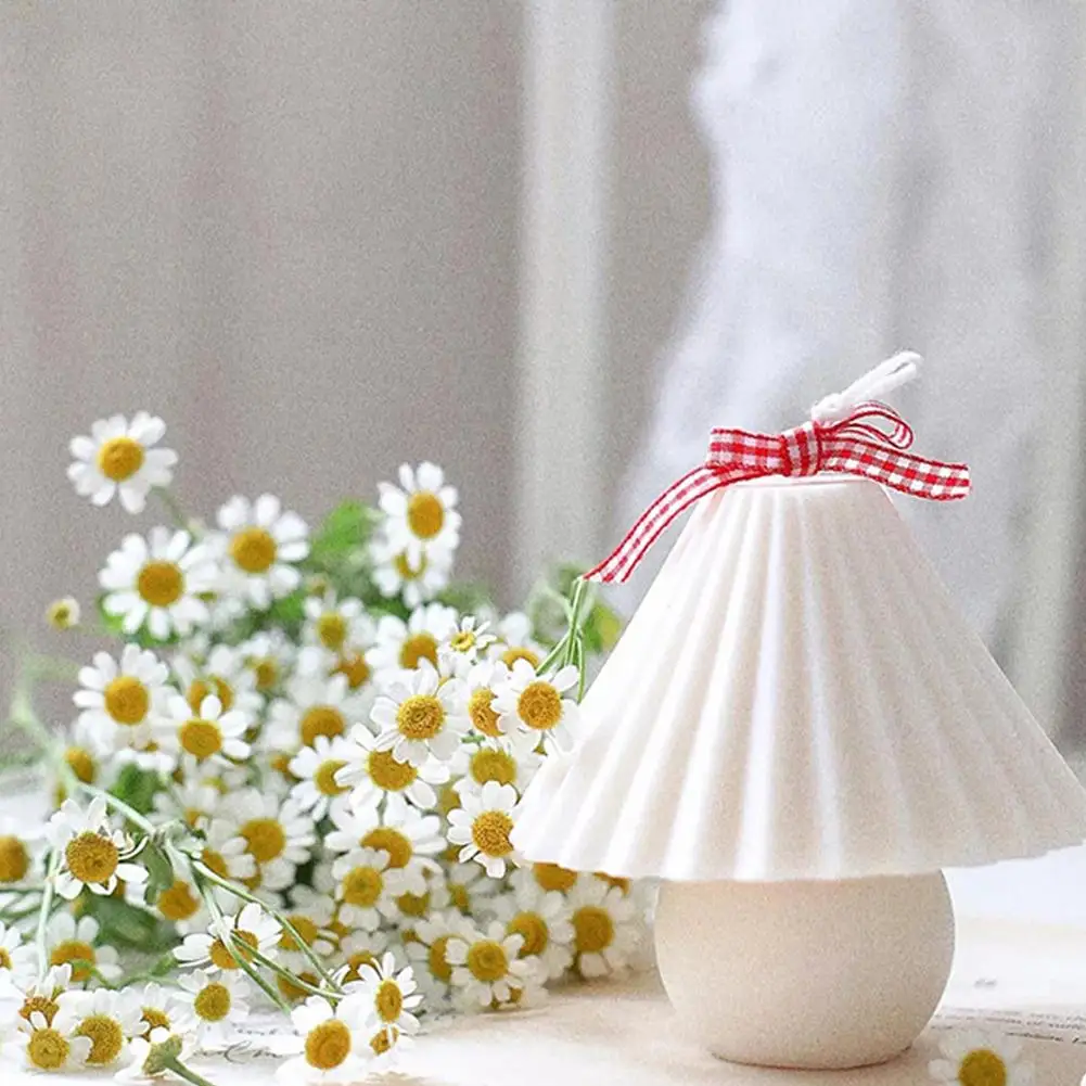 Plastic Candle Mold Diy Handmade Candle Making Model Candle Crafts Candle Making Molds Table Lamp Shaped Plaster Candle Mould
Plastic Candle Mold Diy Handmade Candle Making Model Candle Crafts Candle Making Molds Table Lamp Shaped Plaster Candle Mould