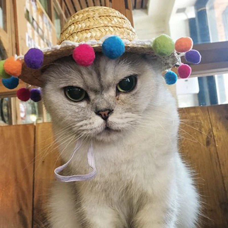 Pet Cat Dog Sun Hat Cute Kitten Puppy Woven Straw Hat Interesting Dogs Photography Accessories Pets Summer Supplies
Pet Cat Dog Sun Hat Cute Kitten Puppy Woven Straw Hat Interesting Dogs Photography Accessories Pets Summer Supplies