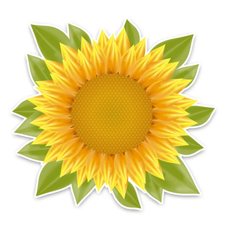 Dawasaru Beautiful Sunflower Colored Car Sticker Creative Decal Laptop Motorcycle Auto Accessories Decoration PVC,12cm*12cm
Dawasaru Beautiful Sunflower Colored Car Sticker Creative Decal Laptop Motorcycle Auto Accessories Decoration PVC,12cm*12cm