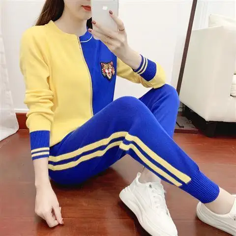 European Station Western Style Age Reduction Sports Two-piece Suit Spring Autumn New Fashion Knitted Jacket Harlan Pants Suit
European Station Western Style Age Reduction Sports Two-piece Suit Spring Autumn New Fashion Knitted Jacket Harlan Pants Suit