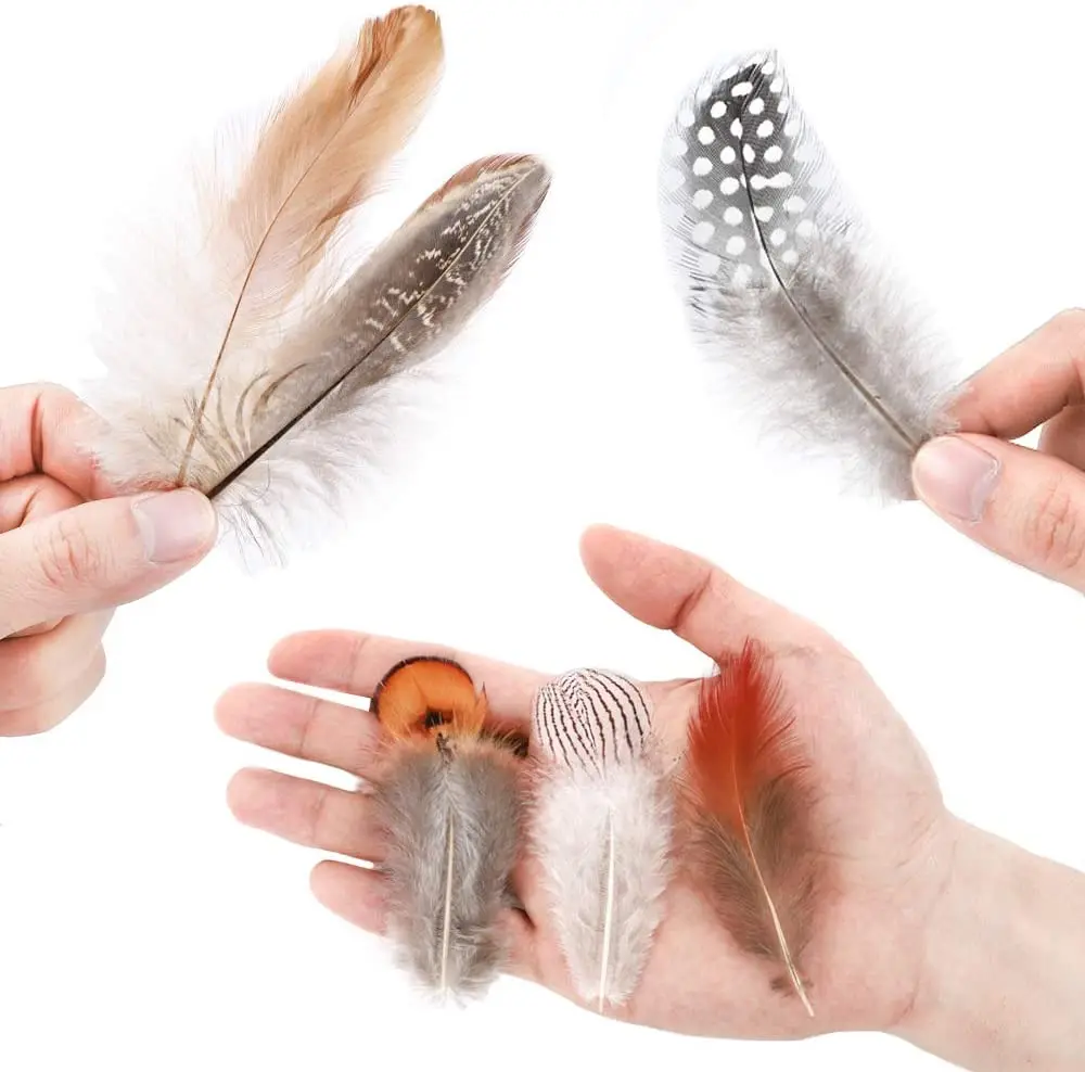 50pcs Chicken feathers mixing Natural Pheasant Feather 5-15cm Making Authentic Plumes Decoration Crafts Jewelry Accessories
50pcs Chicken feathers mixing Natural Pheasant Feather 5-15cm Making Authentic Plumes Decoration Crafts Jewelry Accessories