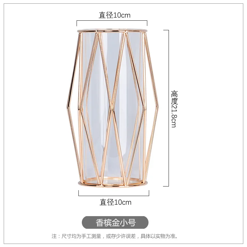 Small Plant Vase Modern Table Rose Gold Flower Creative Vase Nordic Transparent Jarrones Decorativos Room Decoration DL60HP
Small Plant Vase Modern Table Rose Gold Flower Creative Vase Nordic Transparent Jarrones Decorativos Room Decoration DL60HP