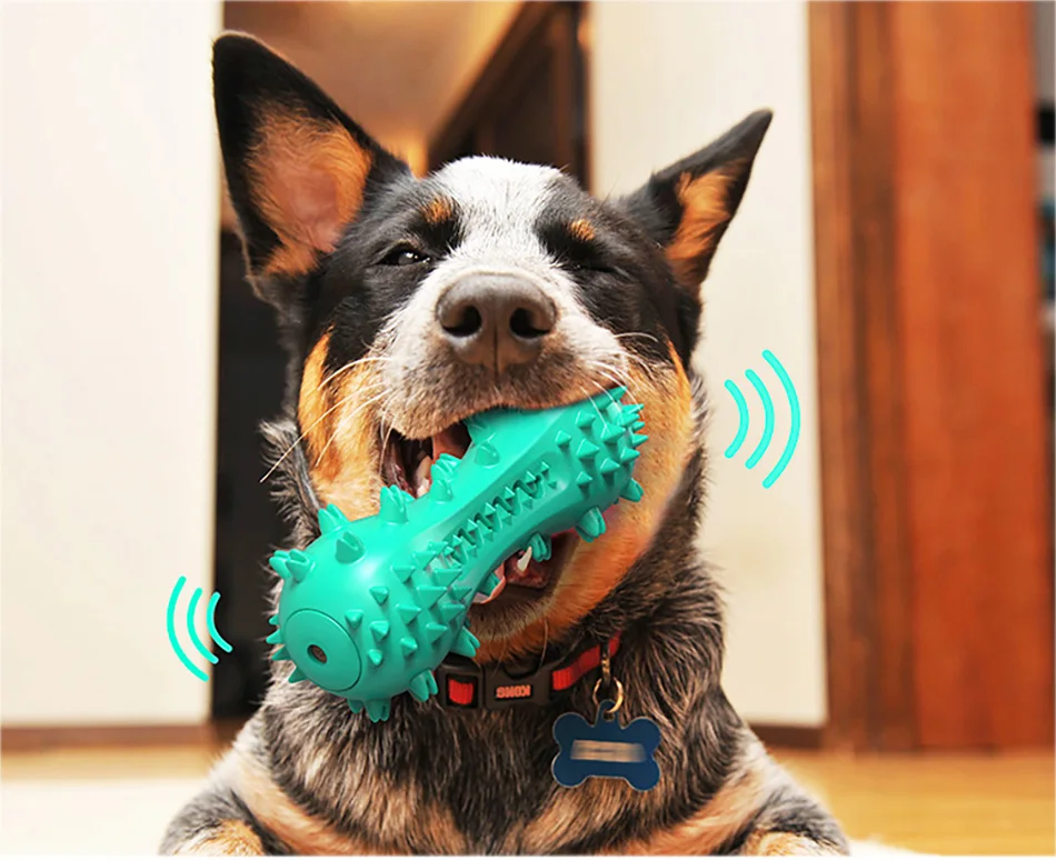 Dog Toothbrush Toy Bite Resistant Game Toy For Dog Play Teeth Brush Cleaning Interactive Pet Dog Bone Toy Squeak Training Rubber
Dog Toothbrush Toy Bite Resistant Game Toy For Dog Play Teeth Brush Cleaning Interactive Pet Dog Bone Toy Squeak Training Rubber