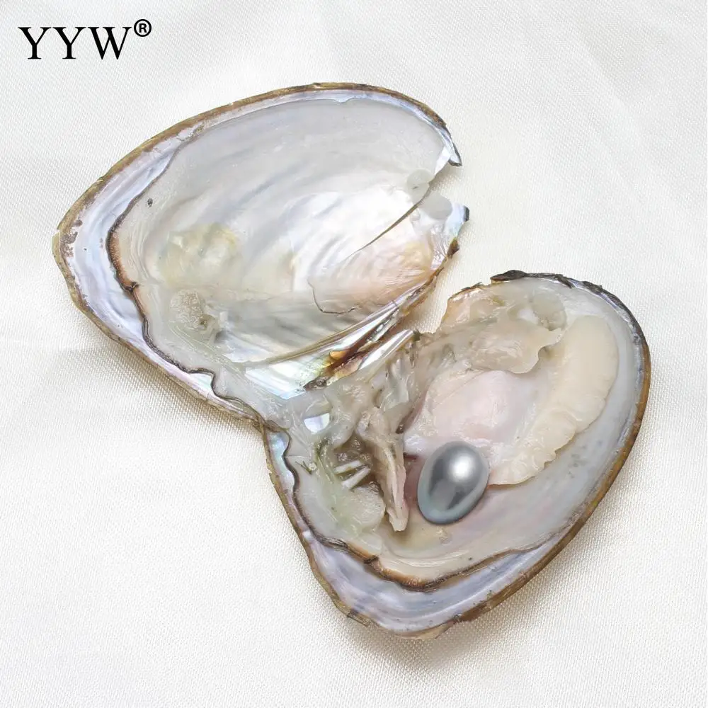 50PCs/Lot Freshwater Cultured Love Wish Pearl Oyster 7-8mm Mixed Colors Freshwater Pearl Rice Pearl Bead for Jewelry Making
50PCs/Lot Freshwater Cultured Love Wish Pearl Oyster 7-8mm Mixed Colors Freshwater Pearl Rice Pearl Bead for Jewelry Making