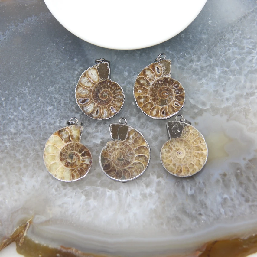 1Pcs Natural Stone Seashell Snail Slice Pendants Silvery/Gun Black Caps Ammonite Fossils Necklace Charms DIY Jewelry Making
1Pcs Natural Stone Seashell Snail Slice Pendants Silvery/Gun Black Caps Ammonite Fossils Necklace Charms DIY Jewelry Making