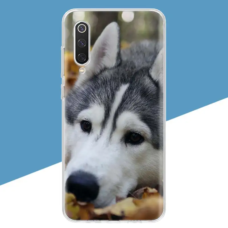 Animal Husky Puppy Dog Phone Case For Xiaomi Redmi Note 9S 8T 9 8 7 6 6A 7A 8A 9A 4X K20 K30 S2 Pro Customize Soft Fashion Cover
Animal Husky Puppy Dog Phone Case For Xiaomi Redmi Note 9S 8T 9 8 7 6 6A 7A 8A 9A 4X K20 K30 S2 Pro Customize Soft Fashion Cover