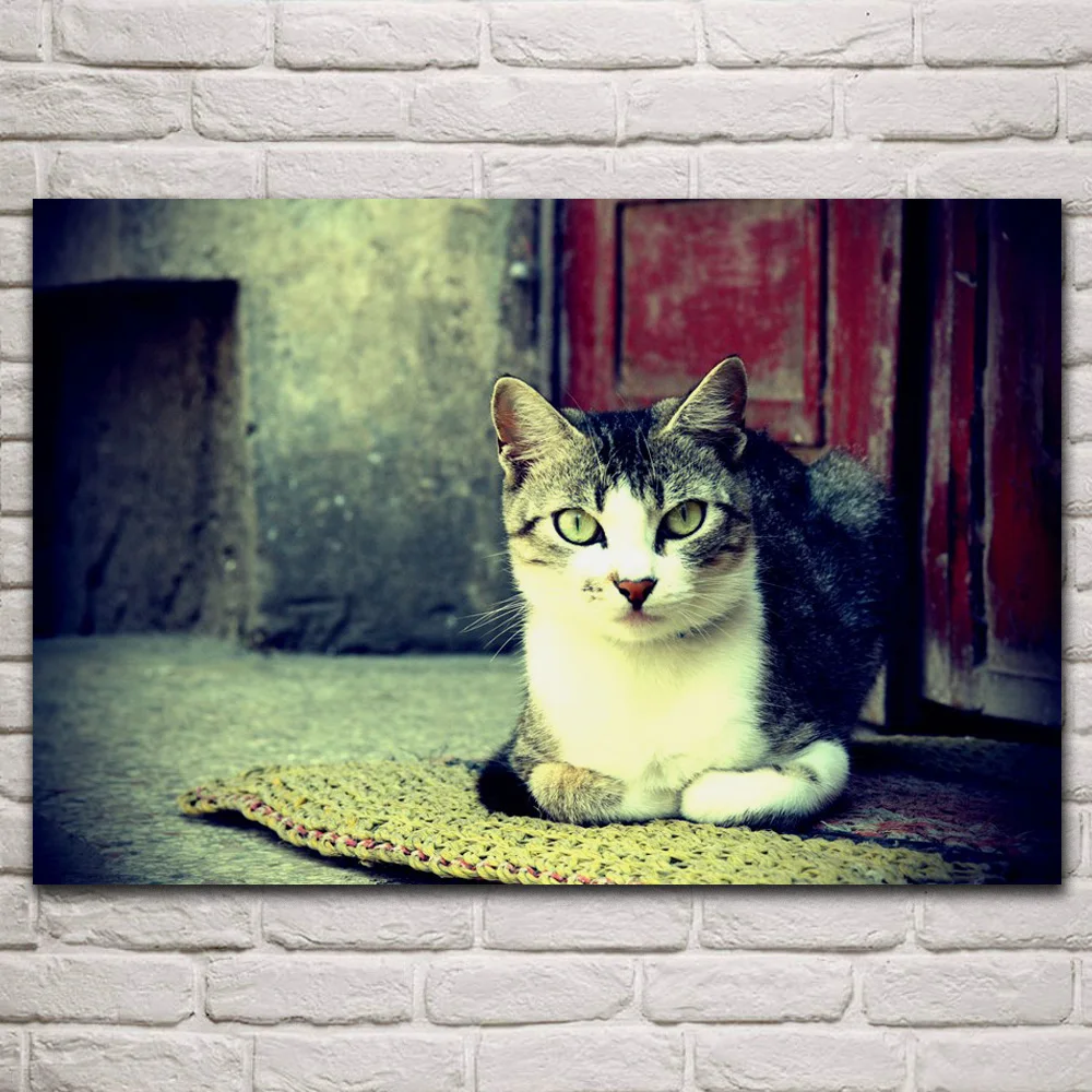 Милый Кот, старый дом, животные, искусство, ткань, картина, гостиная, украшение для дома, искусство, деревянная рамка KQ634 
Милый Кот, старый дом, животные, искусство, ткань, картина, гостиная, украшение для дома, искусство, деревянная рамка KQ634