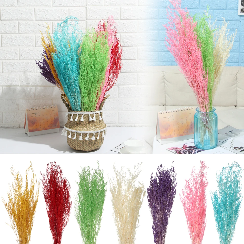 1 Bouquet New Colorful Natural Dried Bouquets Valentine's Grass Dried Flower Natural Plants Photo Props Home Wedding Party Decor
1 Bouquet New Colorful Natural Dried Bouquets Valentine's Grass Dried Flower Natural Plants Photo Props Home Wedding Party Decor