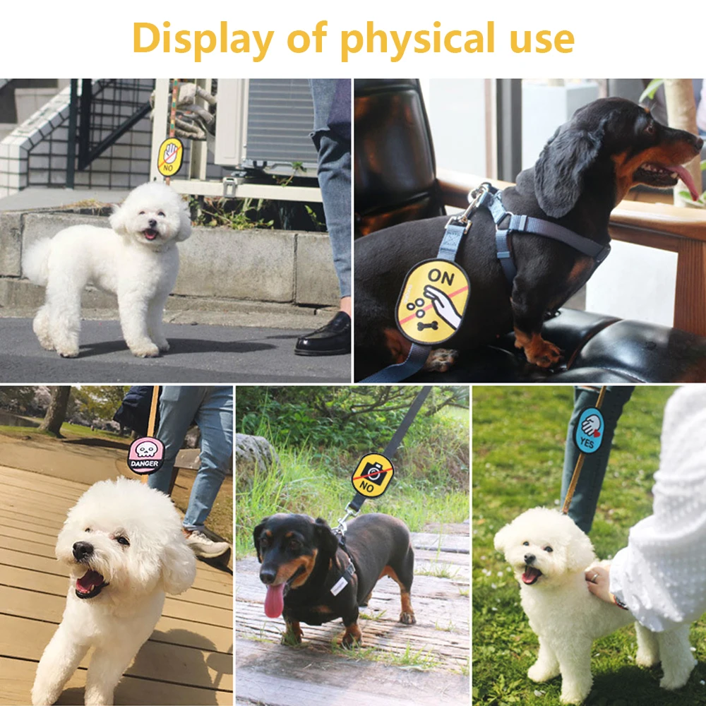 Pet Chest Strap Character Indicator Velcro for Pets Dog Cat Hamster Rabbit Bird Lizard Snake Home Decoration Pet Supplies 
Pet Chest Strap Character Indicator Velcro for Pets Dog Cat Hamster Rabbit Bird Lizard Snake Home Decoration Pet Supplies