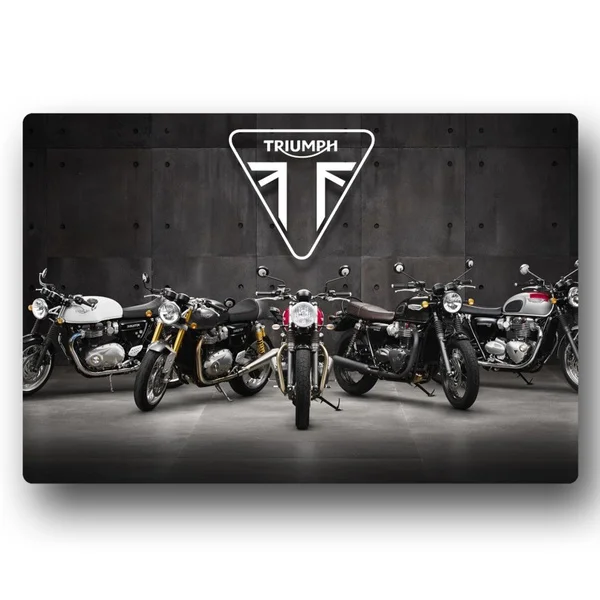 Triumph мотоциклы, металлический жестяной знак, металлический знак, металлический декор, Настенный декор
Triumph мотоциклы, металлический жестяной знак, металлический знак, металлический декор, Настенный декор
