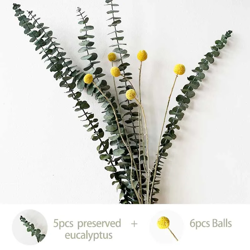 Rabbit Tail Grass Lagurus Ovatus dried flowers eucalyptus leaves Branches real cotton flowers billy-Ball flowers For Home Decor
Rabbit Tail Grass Lagurus Ovatus dried flowers eucalyptus leaves Branches real cotton flowers billy-Ball flowers For Home Decor