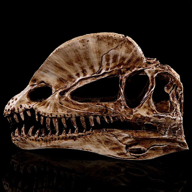 

Double Dragon Crest Dinosaur Skull Teaching Model Ornament Ceratosaurus Resin Dilophosaurus Head Skeleton Aquarium Home Decor