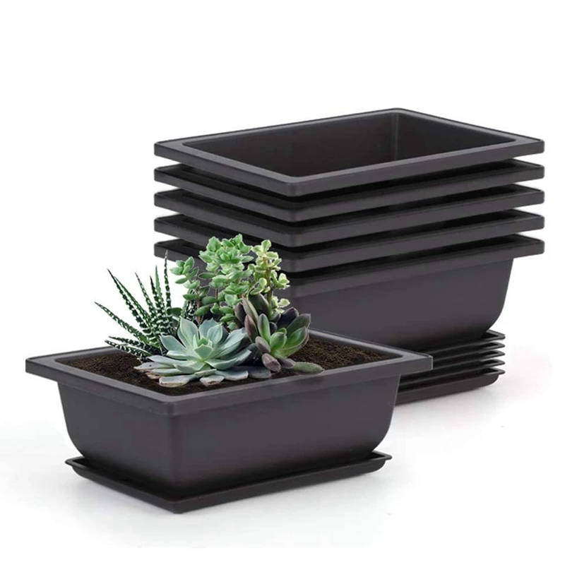 6 Packs Bonsai Training Pots with Tray Plastic Bonsai Plants Gg Pot for Garden Yard Living Room 22.5X16.5cm
6 Packs Bonsai Training Pots with Tray Plastic Bonsai Plants Gg Pot for Garden Yard Living Room 22.5X16.5cm