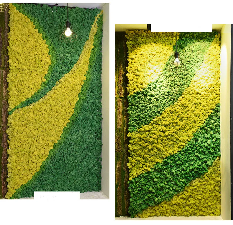 Artificial plant eternal life moss / Garden home decoration wall DIY Flower material Mini Garden Micro Landscape Accessories
Artificial plant eternal life moss / Garden home decoration wall DIY Flower material Mini Garden Micro Landscape Accessories