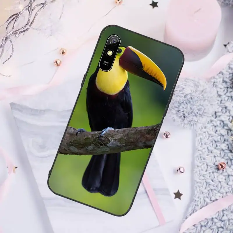 Keel-billed Toucan Phone Case For Xiaomi Mi Redmi Note 7 8 9 pro 8T 9T 9S 9A 10 Lite pro
Keel-billed Toucan Phone Case For Xiaomi Mi Redmi Note 7 8 9 pro 8T 9T 9S 9A 10 Lite pro