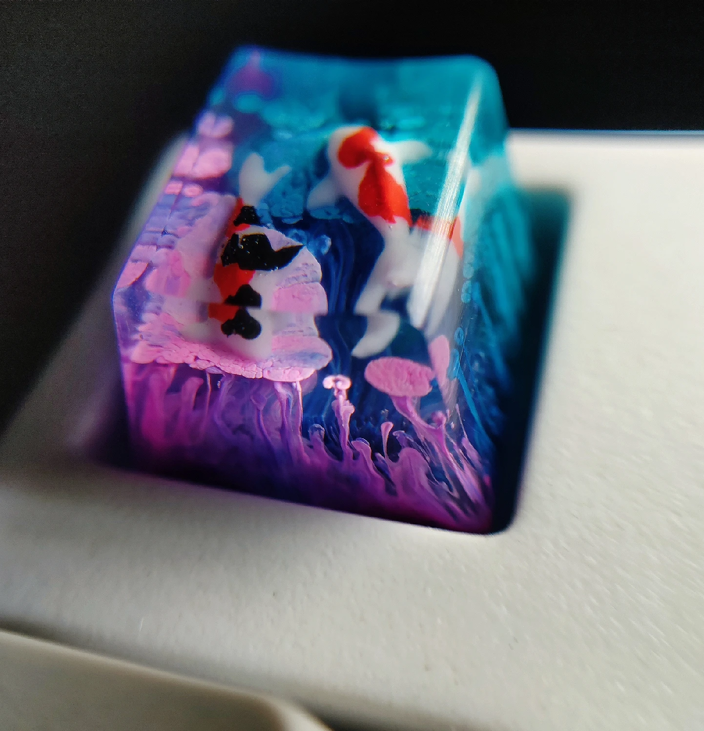 For Cherry Mx Switch Mechanical Keyboard Backlight Spacebar ESC Shift Backspace 1u 2.75u 2.25u 6.25u Keycaps Whale Resin Keycaps 
For Cherry Mx Switch Mechanical Keyboard Backlight Spacebar ESC Shift Backspace 1u 2.75u 2.25u 6.25u Keycaps Whale Resin Keycaps