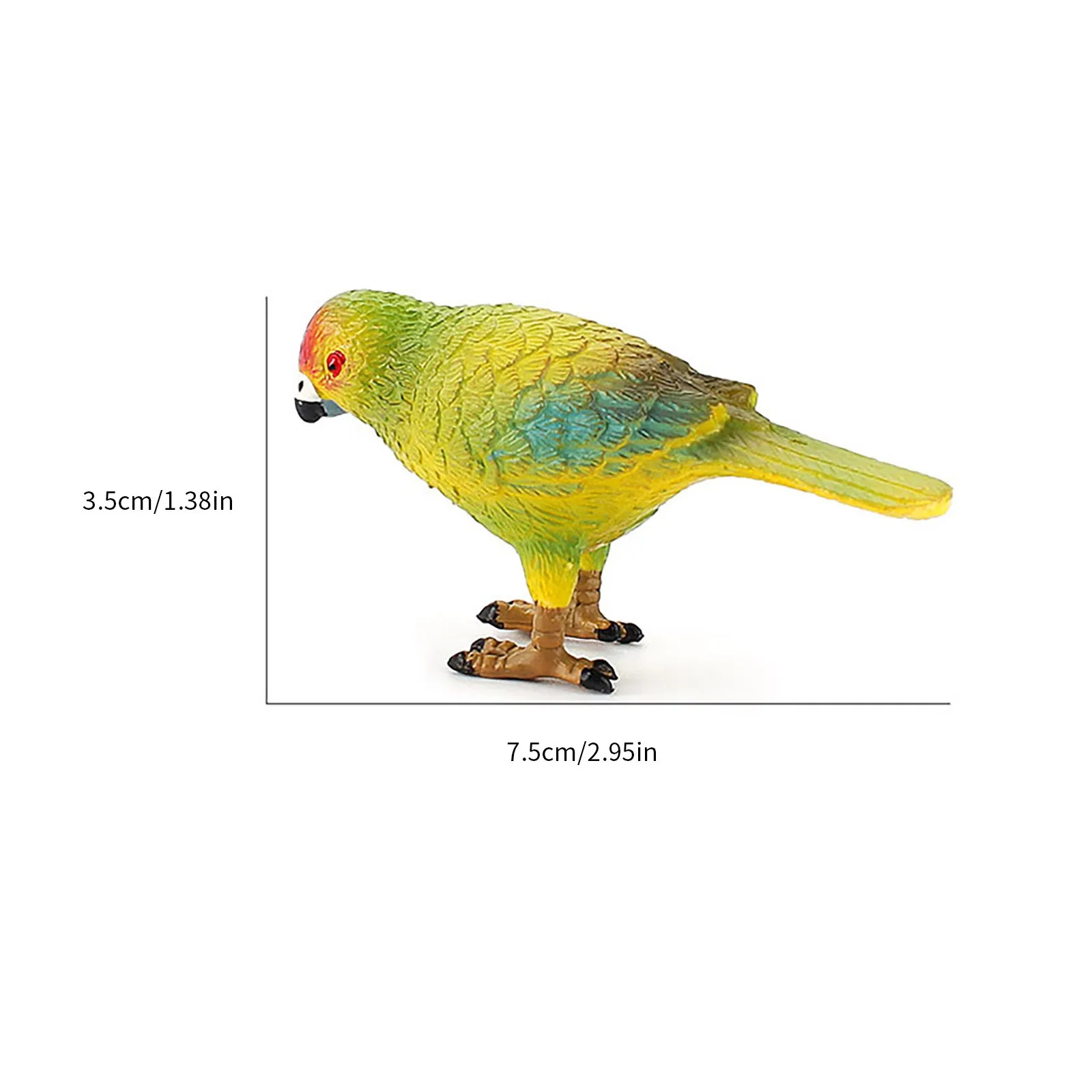 Children's Educational Cognitive Toys Ornaments Simulation Peony Parrot Cormorant Model Bird Animal Static Desktop Decoration 
Children's Educational Cognitive Toys Ornaments Simulation Peony Parrot Cormorant Model Bird Animal Static Desktop Decoration