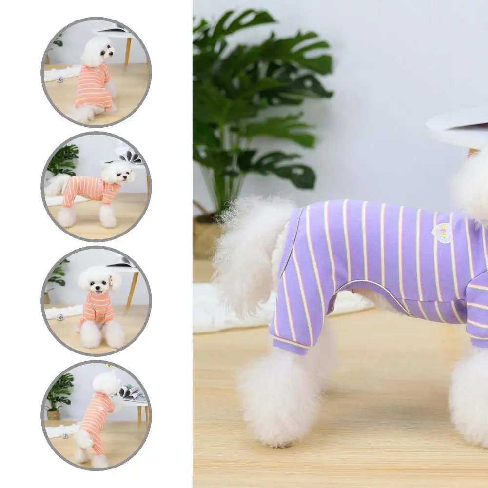 Unisex Wearable Dog Warm Four-legged Loungewear Casual Dog Shirt Round Neck for Air-conditioned Rooms
Unisex Wearable Dog Warm Four-legged Loungewear Casual Dog Shirt Round Neck for Air-conditioned Rooms