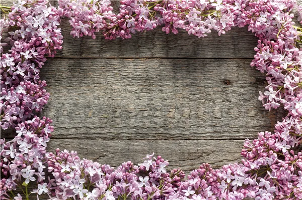 Vinyl Custom Photography Backdrops Props Board Wood Planks theme Photo Studio Background 20215-4567
Vinyl Custom Photography Backdrops Props Board Wood Planks theme Photo Studio Background 20215-4567