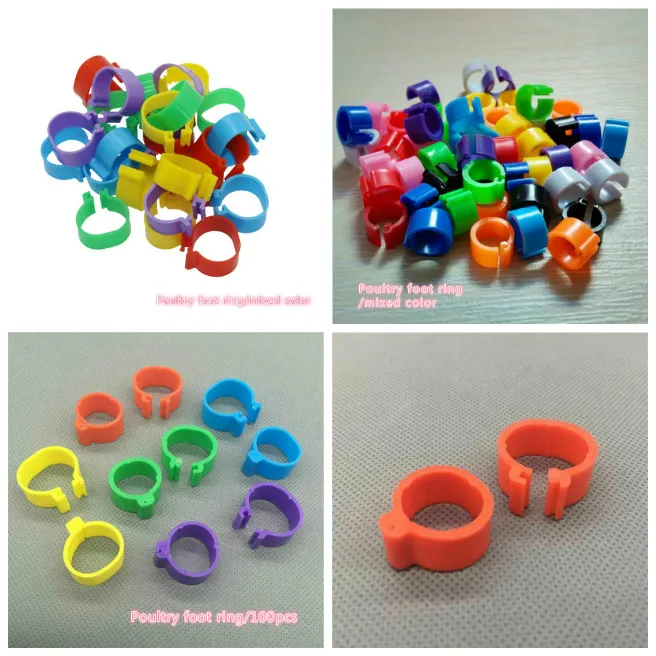 100 pieces of foot ring foot ring plastic clip ring pigeon quail foot ring farm animal identification tool color foot ring mix
100 pieces of foot ring foot ring plastic clip ring pigeon quail foot ring farm animal identification tool color foot ring mix