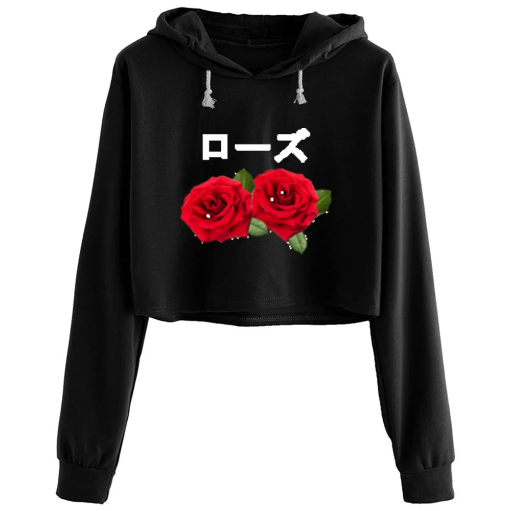 Aesthetic Rose With Japanese Text Vaporwave Crop Hoodies Women Anime Emo Aesthetic Kpop Pullover For Girls
Aesthetic Rose With Japanese Text Vaporwave Crop Hoodies Women Anime Emo Aesthetic Kpop Pullover For Girls
