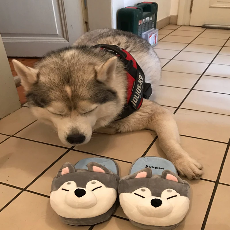 Women's Winter Home Bedroom Slippers Couple Cartoon Slides Men Non-slip House Warm Indoor Flip Flops Unisex Cute Cotton Shoes
Women's Winter Home Bedroom Slippers Couple Cartoon Slides Men Non-slip House Warm Indoor Flip Flops Unisex Cute Cotton Shoes