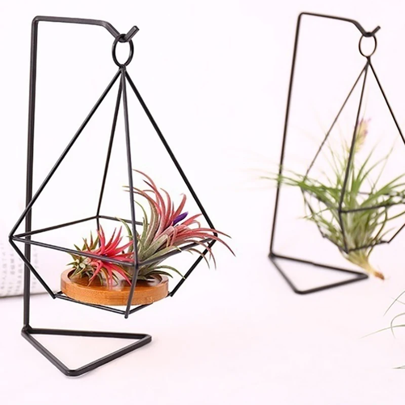 2 Pack Air Plant Holder Metal Stand for Hanging Air Plant Tillandsia Home Wall Decor 
2 Pack Air Plant Holder Metal Stand for Hanging Air Plant Tillandsia Home Wall Decor