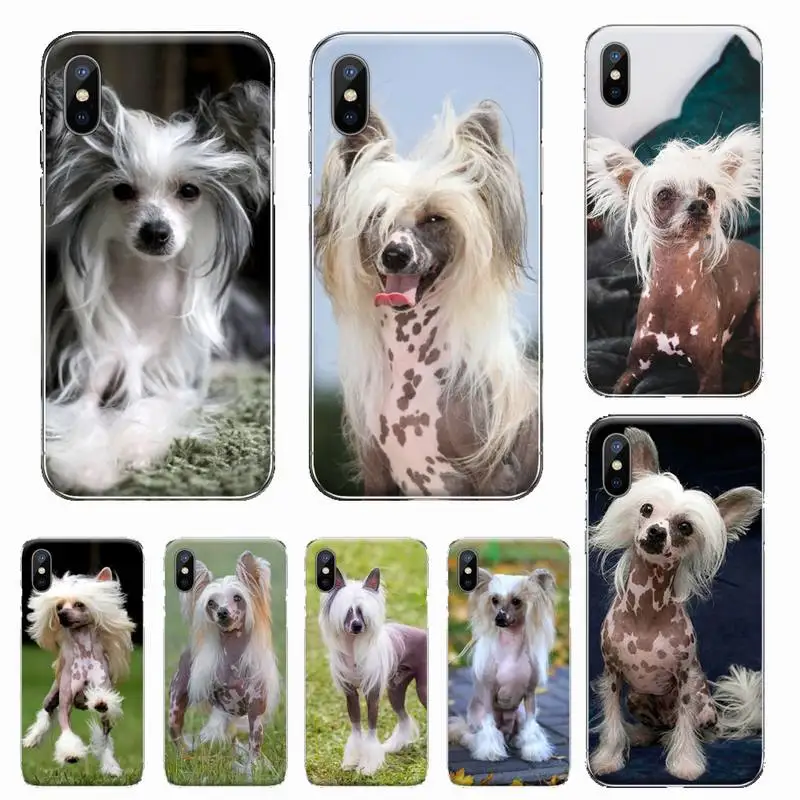 Dog of breed Chinese crested Phone Case Transparent soft For iphone 12 11 13 7 8 6 s plus x xs xr pro max mini
Dog of breed Chinese crested Phone Case Transparent soft For iphone 12 11 13 7 8 6 s plus x xs xr pro max mini
