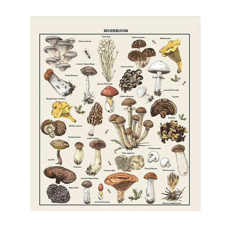 

Mushroom Tapestry Vintage Tapestry Reference Chart Colorful Vertical Tapestry Wall Hanging 51.2 x 59.1 Inch