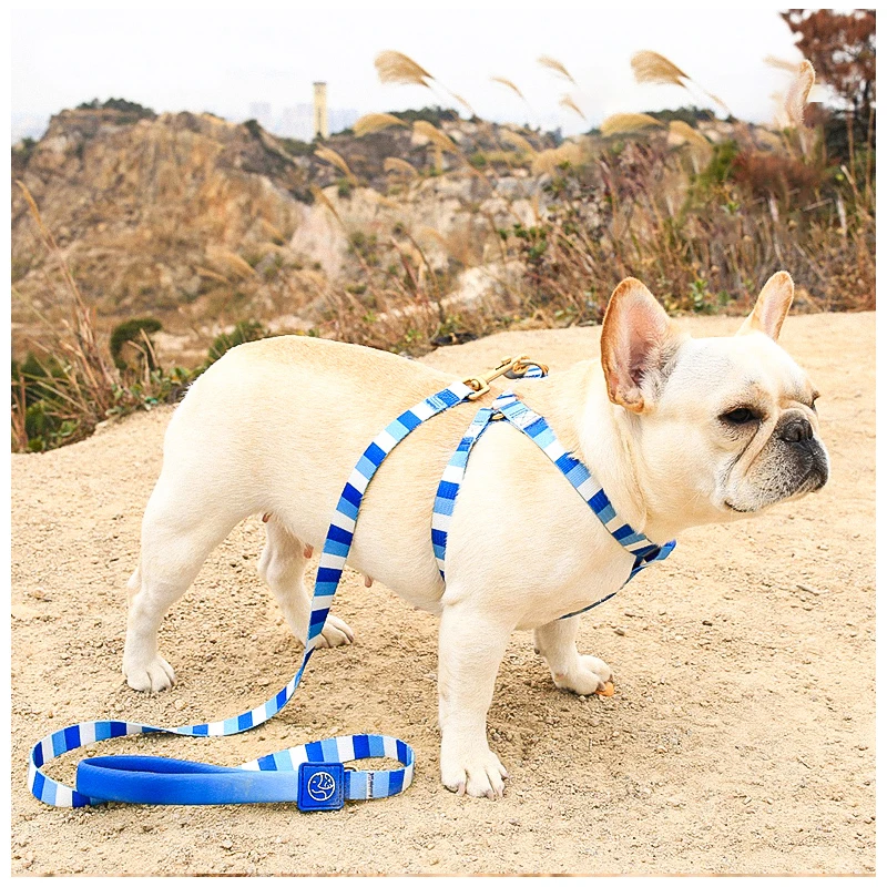 Dogs Accessories Pitbull Small Medium Dog Collar Stripe Pattern Adjustable Harness and Leash Set Breast-band Pet Harness for Dog 
Dogs Accessories Pitbull Small Medium Dog Collar Stripe Pattern Adjustable Harness and Leash Set Breast-band Pet Harness for Dog