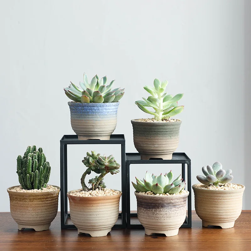 Creative Multi-meat Burning Pot Set Coarse Ceramic Thumb Pot Garden Ceramic Flower Pot
Creative Multi-meat Burning Pot Set Coarse Ceramic Thumb Pot Garden Ceramic Flower Pot