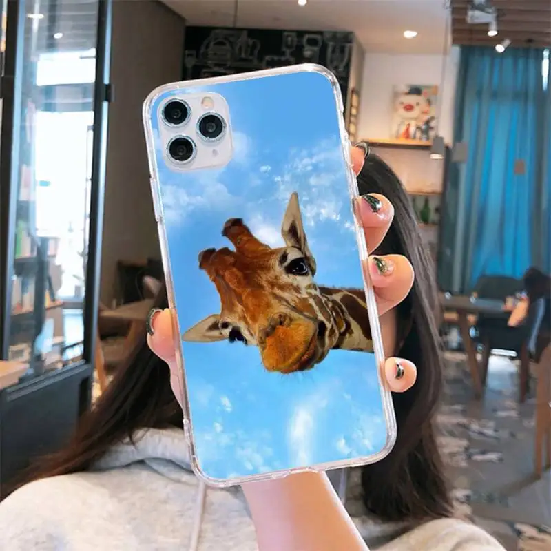 Zebra Giraffe cute animal Phone Case Transparent soft For iphone 5 5s 5c se 6 6s 7 8 11 12 plus mini x xs xr pro max
Zebra Giraffe cute animal Phone Case Transparent soft For iphone 5 5s 5c se 6 6s 7 8 11 12 plus mini x xs xr pro max