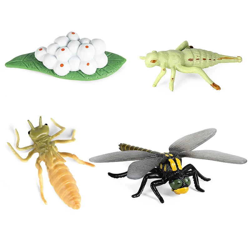 Simulation Animal Growth Cycle Dragonfly Model Action Figures Figurine Lovely Baby Christmas Gift Cognition Educational Kids Toy
Simulation Animal Growth Cycle Dragonfly Model Action Figures Figurine Lovely Baby Christmas Gift Cognition Educational Kids Toy